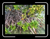Tortola 149 * 2592 x 1944 * (3.03MB)